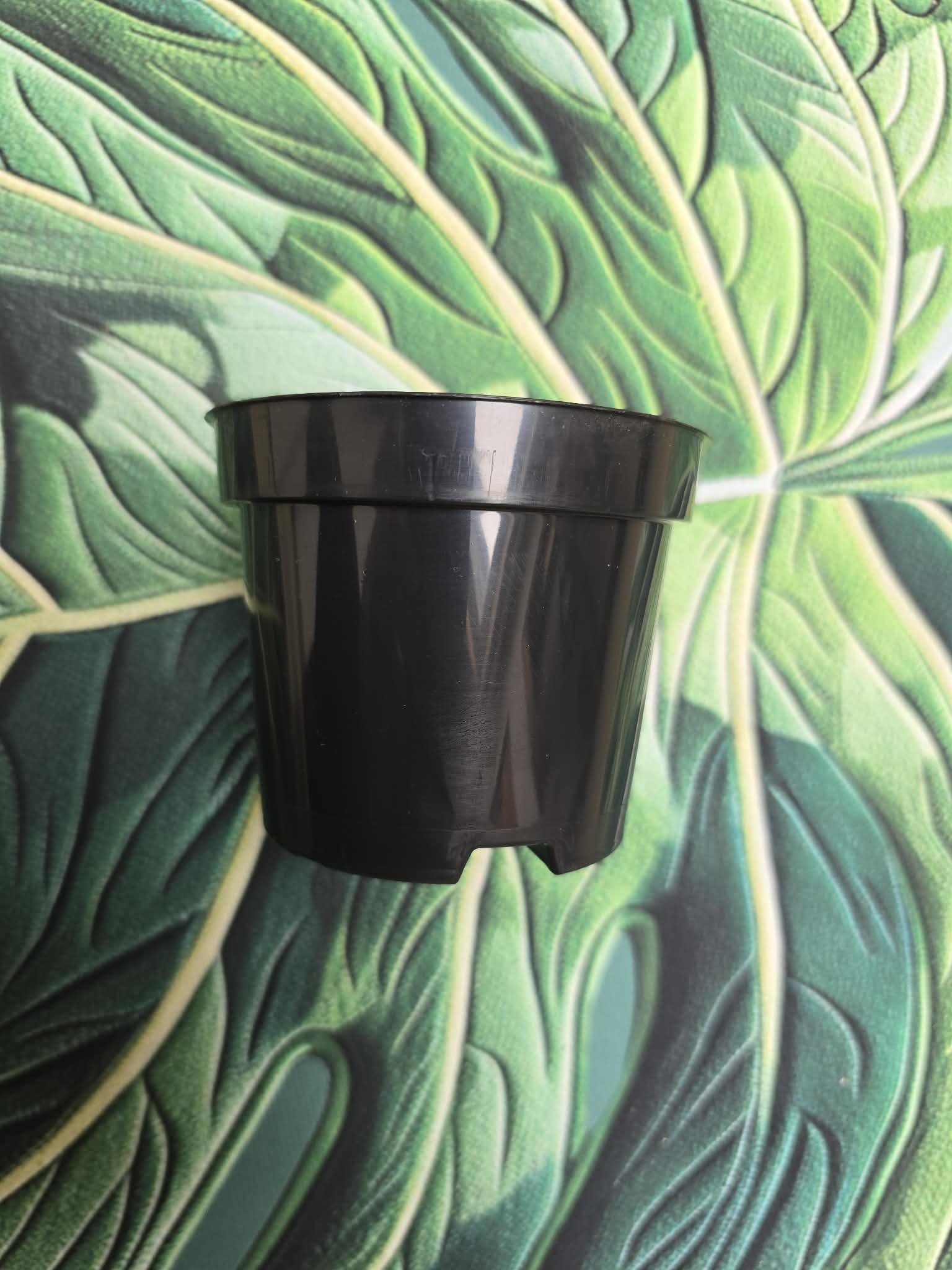 Pots 9x7 cm --> (0.30l)