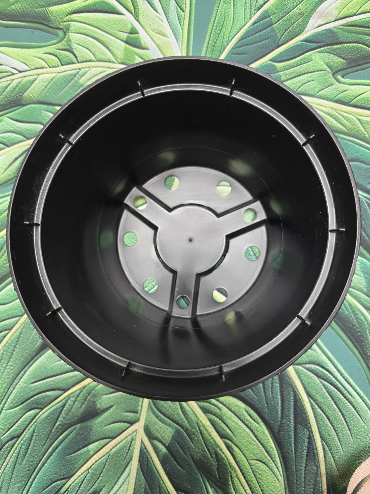 Pots 15x12 cm --> (1.5l)